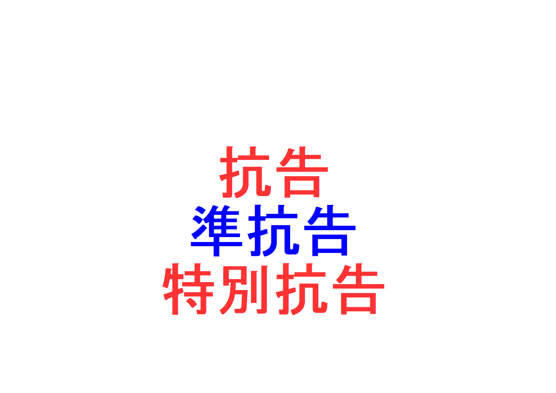 準 抗告 と は